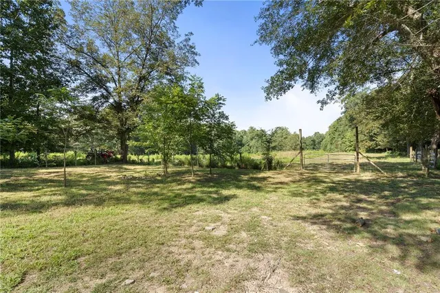 a view of a field with trees
