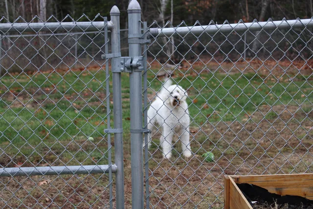 $183,500 | 95 South Chester Road, Chester, ME 04457