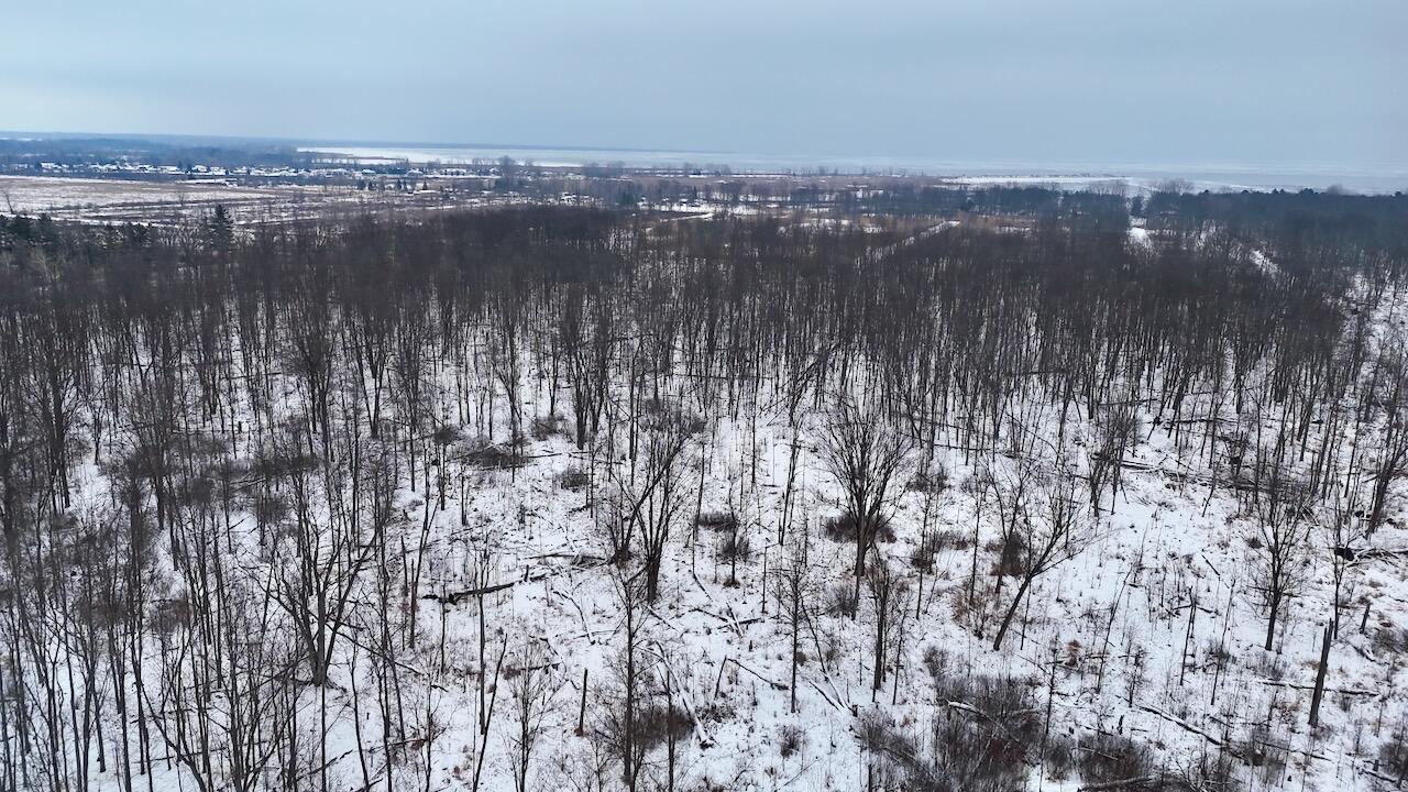 South Santiago Road Au Gres, MI 48703 - Photo 1 of 24 001