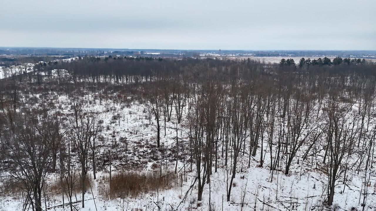 South Santiago Road Au Gres, MI 48703 - Photo 13 of 24 013