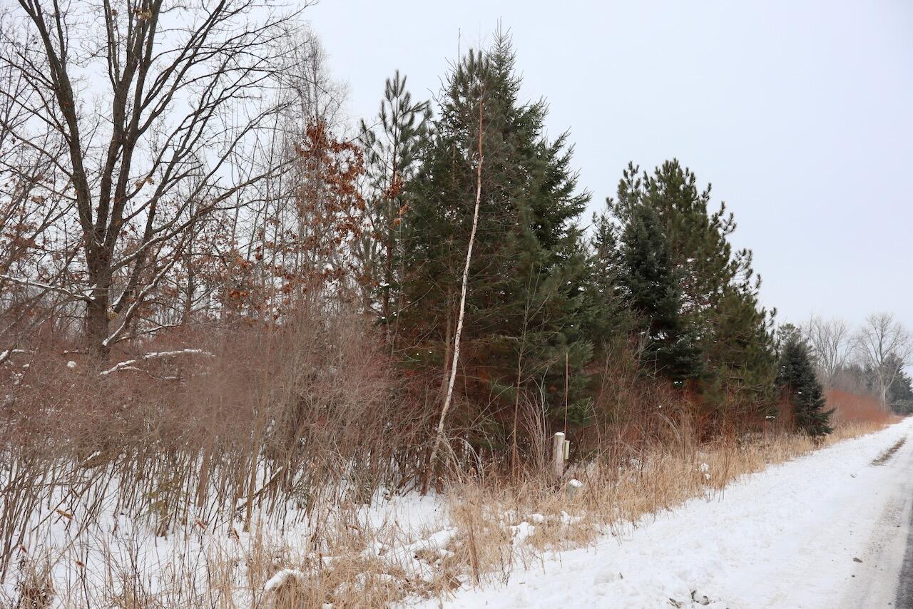 South Santiago Road Au Gres, MI 48703 - Photo 14 of 24 014