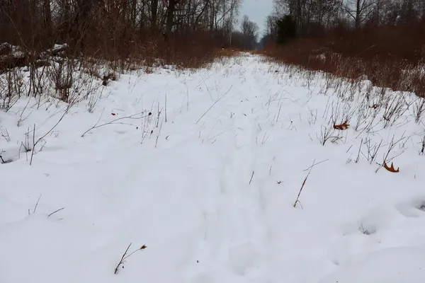 $289,900 | South Santiago Road, Au Gres, MI 48703