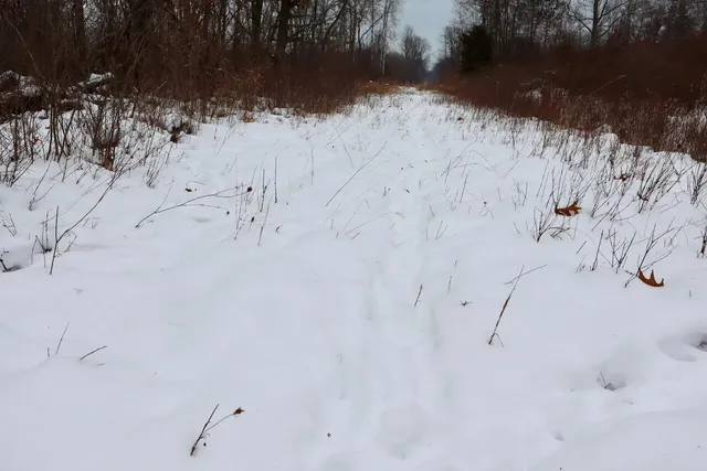 $299,500 | South Santiago Road, Au Gres, MI 48703