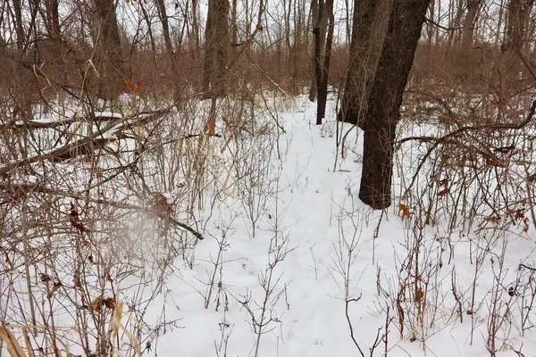 $289,900 | South Santiago Road, Au Gres, MI 48703