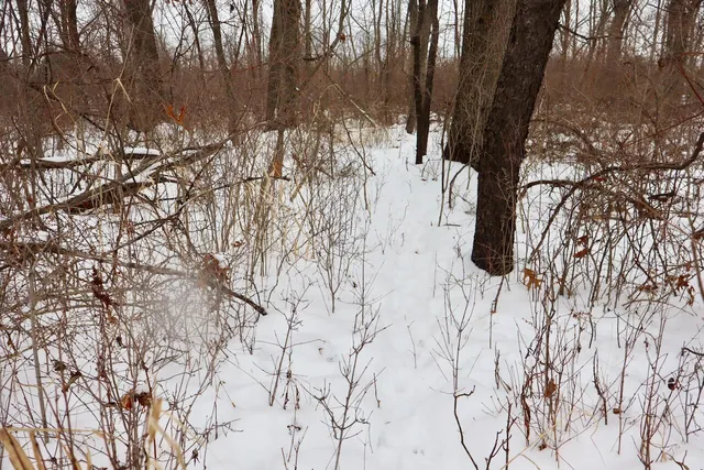 $299,500 | South Santiago Road, Au Gres, MI 48703