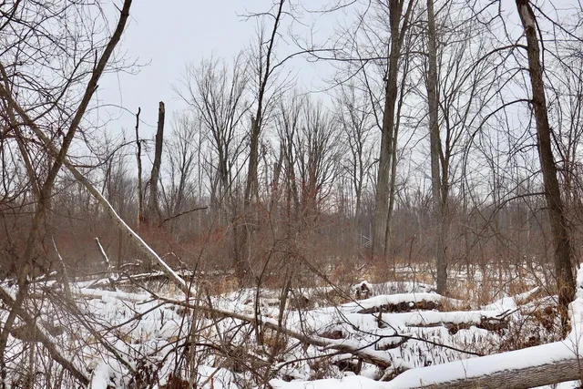 $299,500 | South Santiago Road, Au Gres, MI 48703