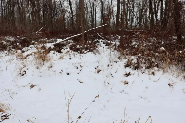 $299,500 | South Santiago Road, Au Gres, MI 48703