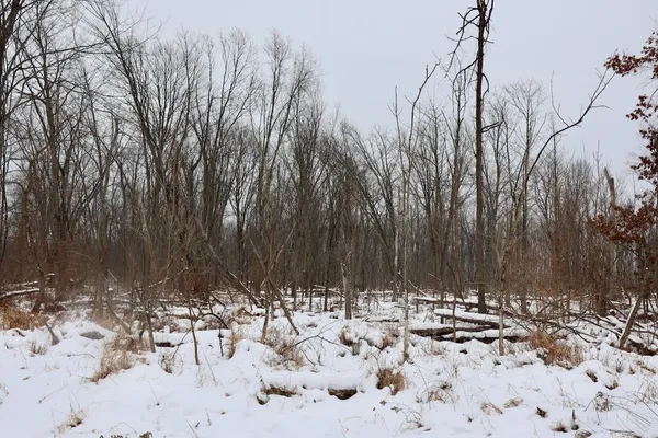 $289,900 | South Santiago Road, Au Gres, MI 48703