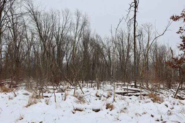 $299,500 | South Santiago Road, Au Gres, MI 48703