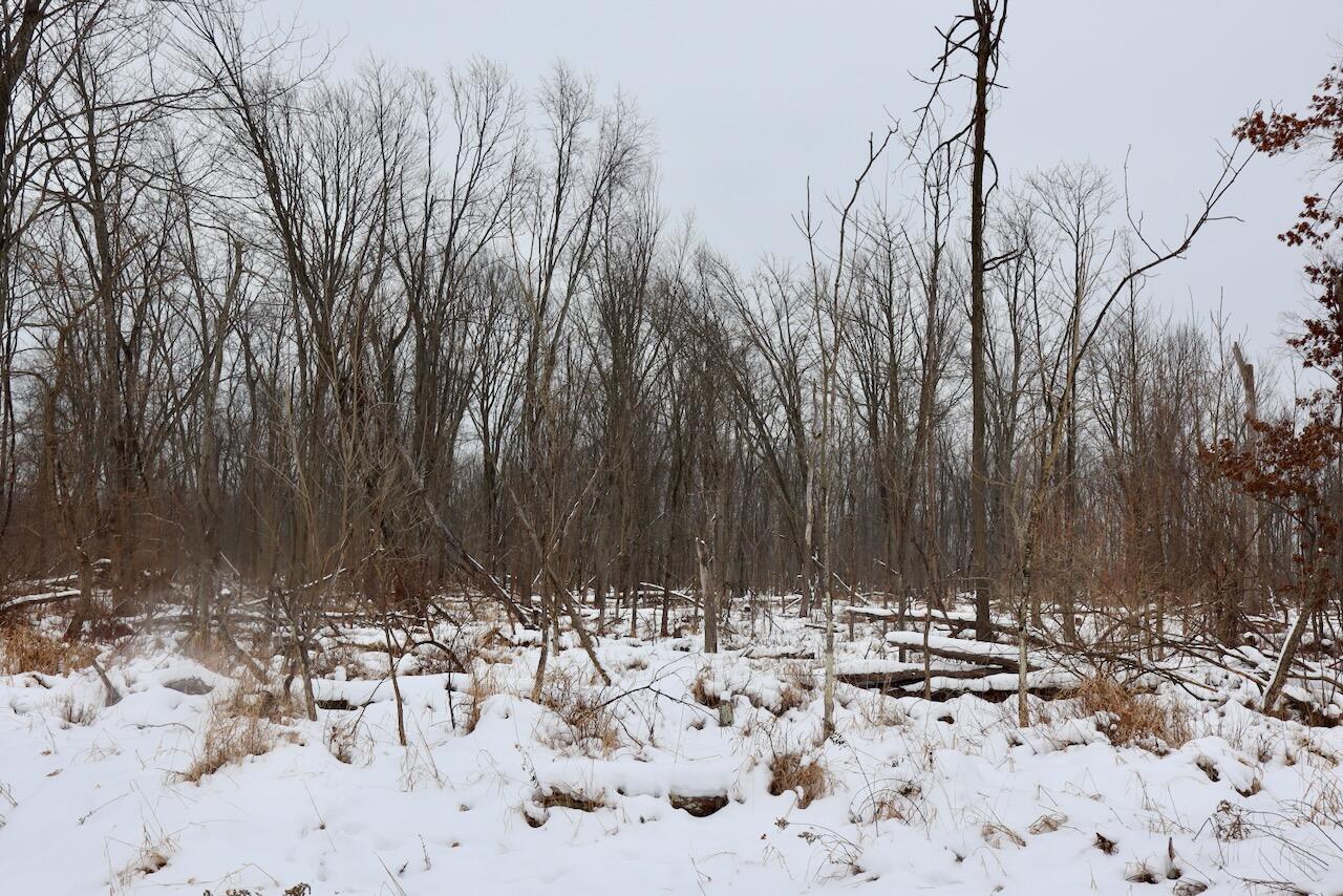 South Santiago Road Au Gres, MI 48703 - Photo 19 of 24 IMG_1601