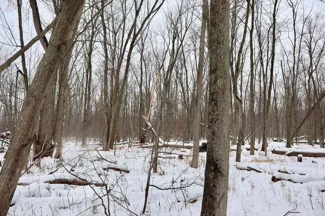 $299,500 | South Santiago Road, Au Gres, MI 48703