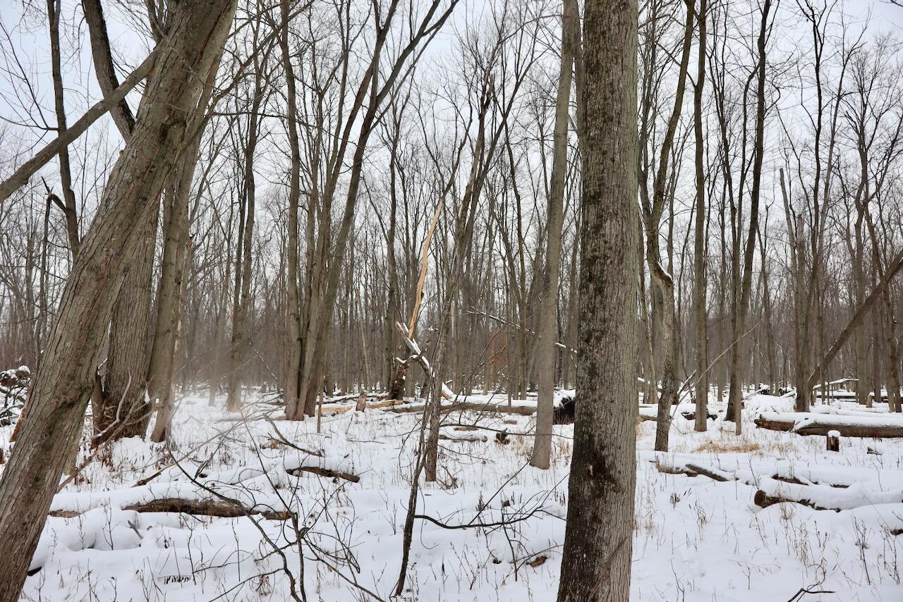 South Santiago Road Au Gres, MI 48703 - Photo 20 of 24 IMG_1602