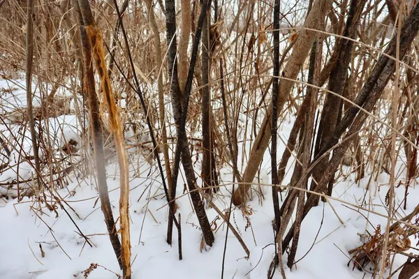 $289,900 | South Santiago Road, Au Gres, MI 48703