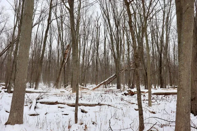 $299,500 | South Santiago Road, Au Gres, MI 48703