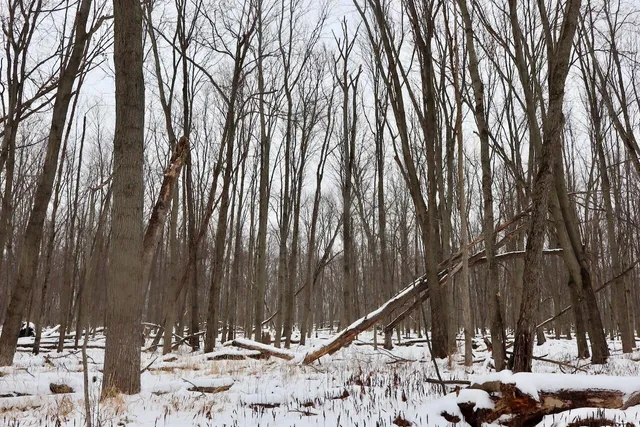 $299,500 | South Santiago Road, Au Gres, MI 48703