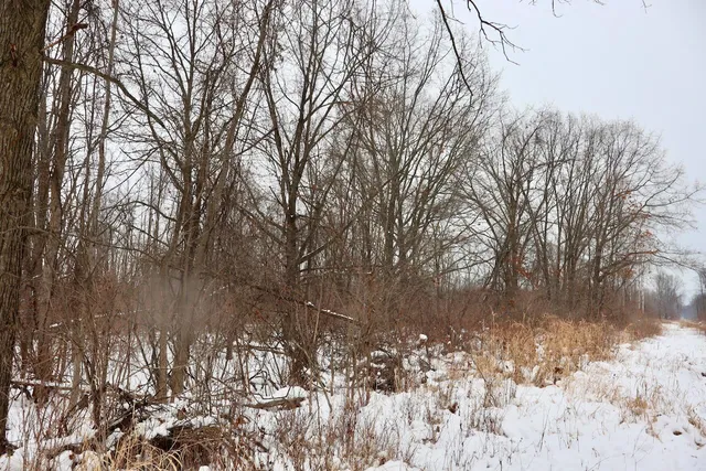 $299,500 | South Santiago Road, Au Gres, MI 48703