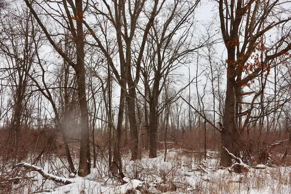 $289,900 | South Santiago Road, Au Gres, MI 48703