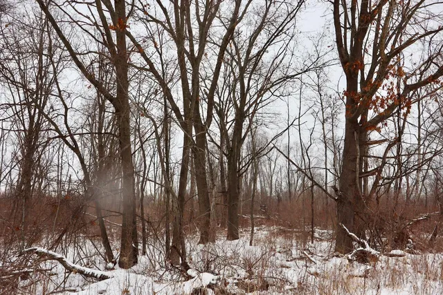 $299,500 | South Santiago Road, Au Gres, MI 48703