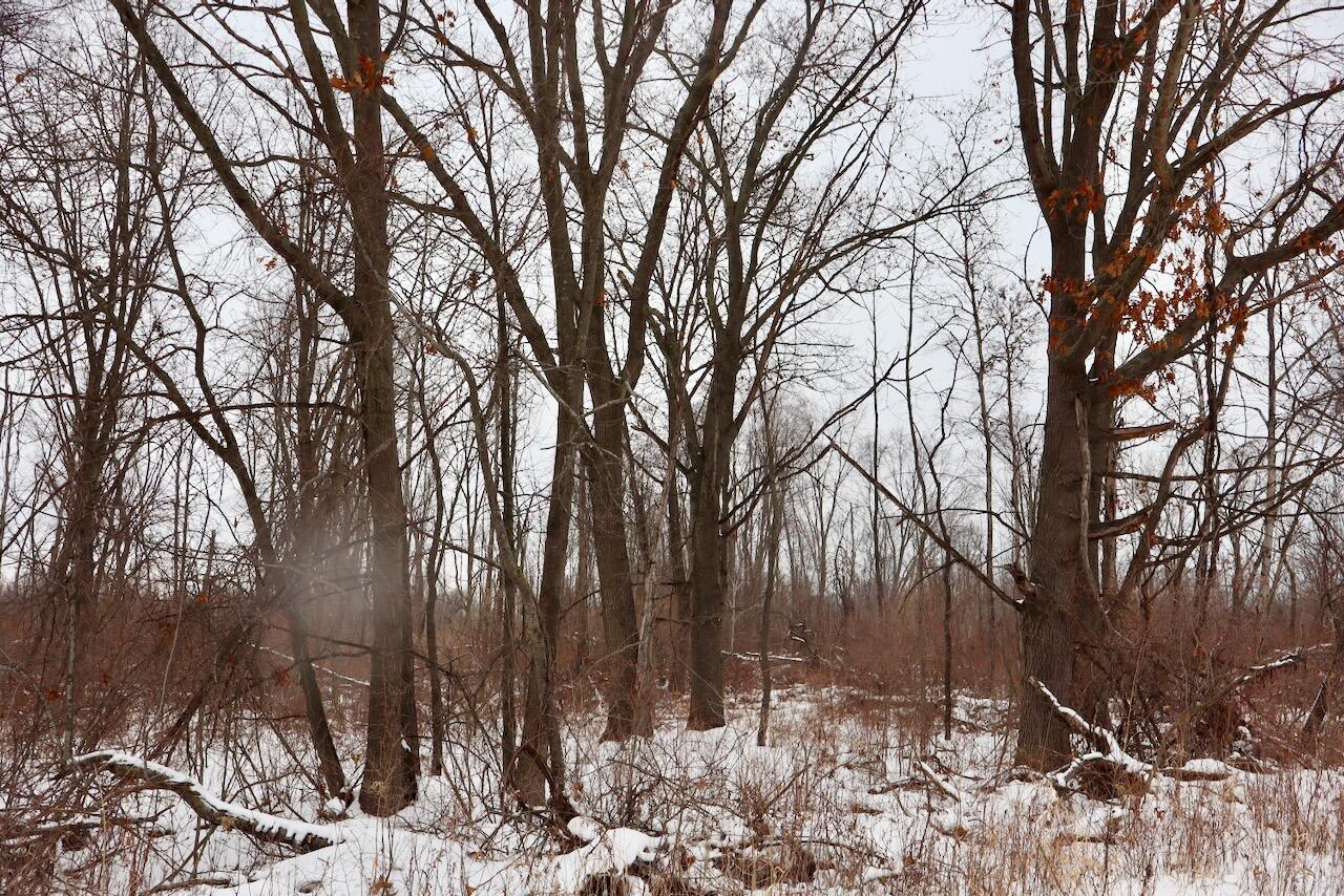 South Santiago Road Au Gres, MI 48703 - Photo 5 of 24 005