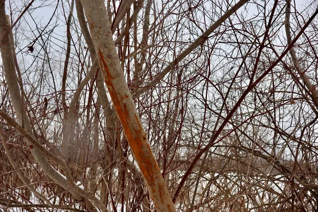 $299,500 | South Santiago Road, Au Gres, MI 48703