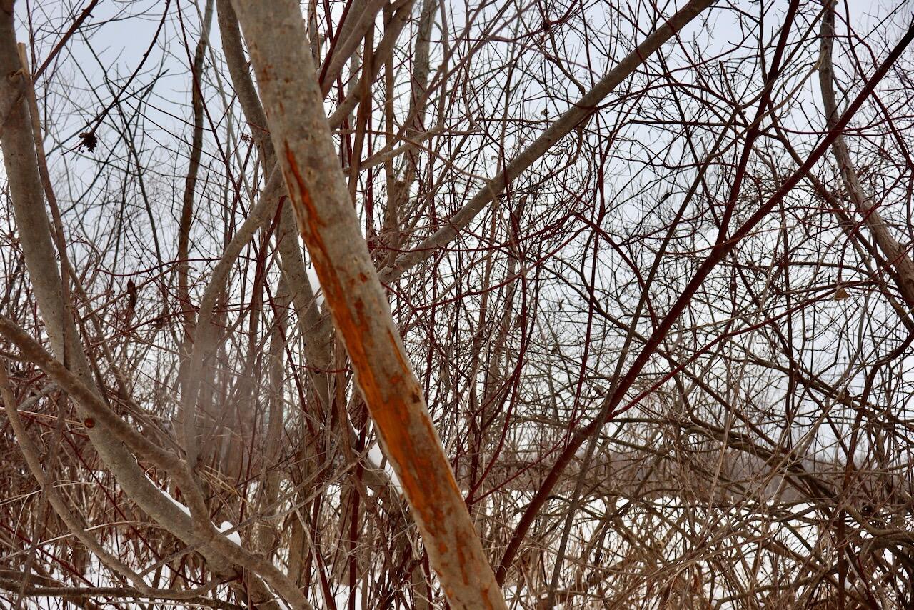 South Santiago Road Au Gres, MI 48703 - Photo 6 of 24 006