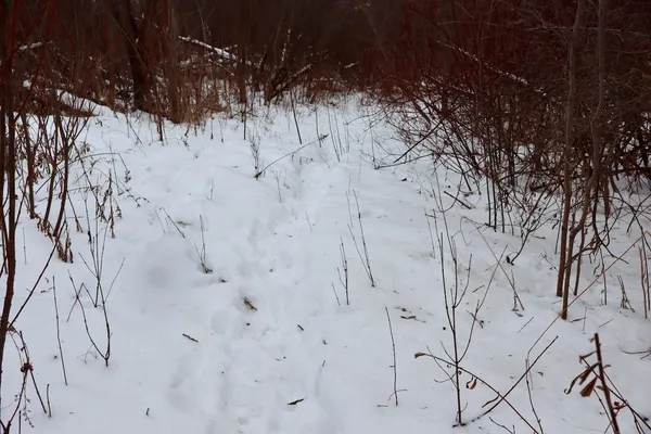 $289,900 | South Santiago Road, Au Gres, MI 48703