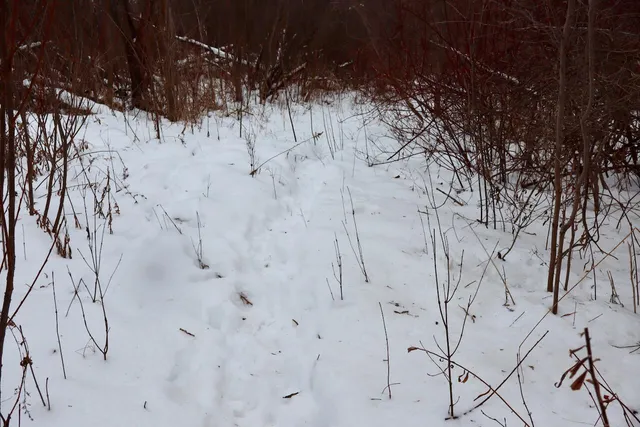 $299,500 | South Santiago Road, Au Gres, MI 48703