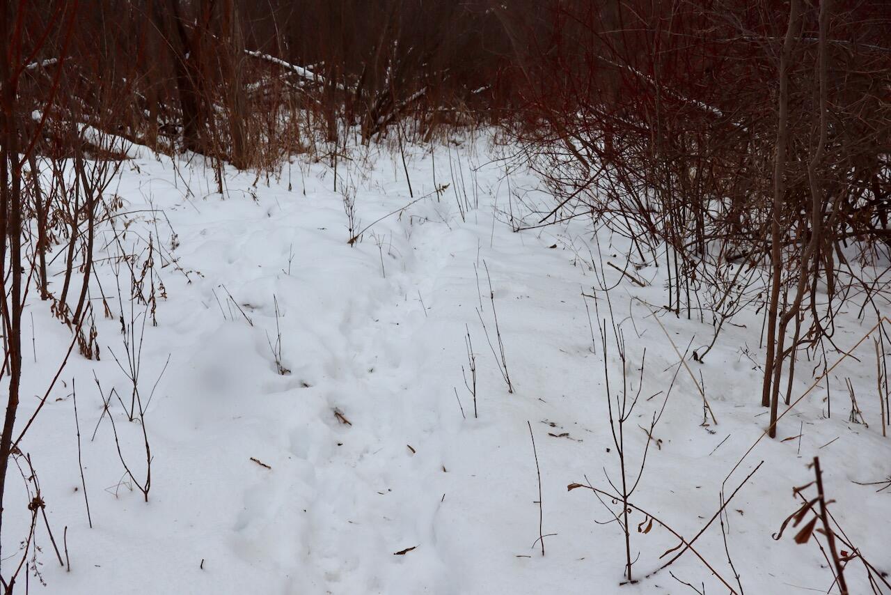 South Santiago Road Au Gres, MI 48703 - Photo 7 of 24 007