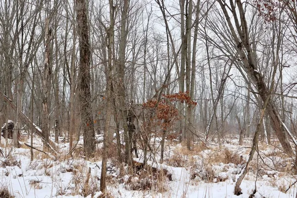 $289,900 | South Santiago Road, Au Gres, MI 48703