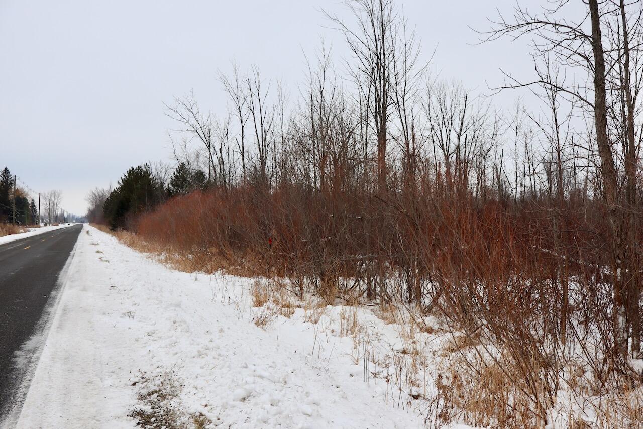 South Santiago Road Au Gres, MI 48703 - Photo 9 of 24 009