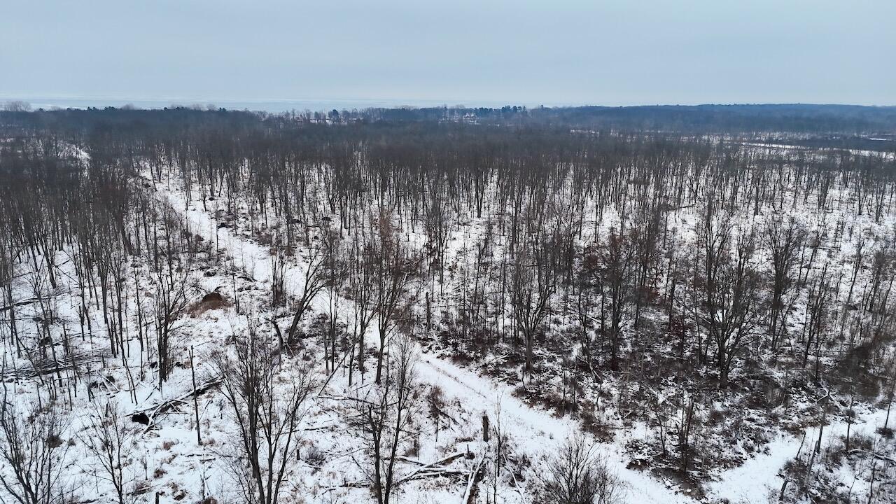 South Santiago Road Au Gres, MI 48703 - Photo 10 of 24 010