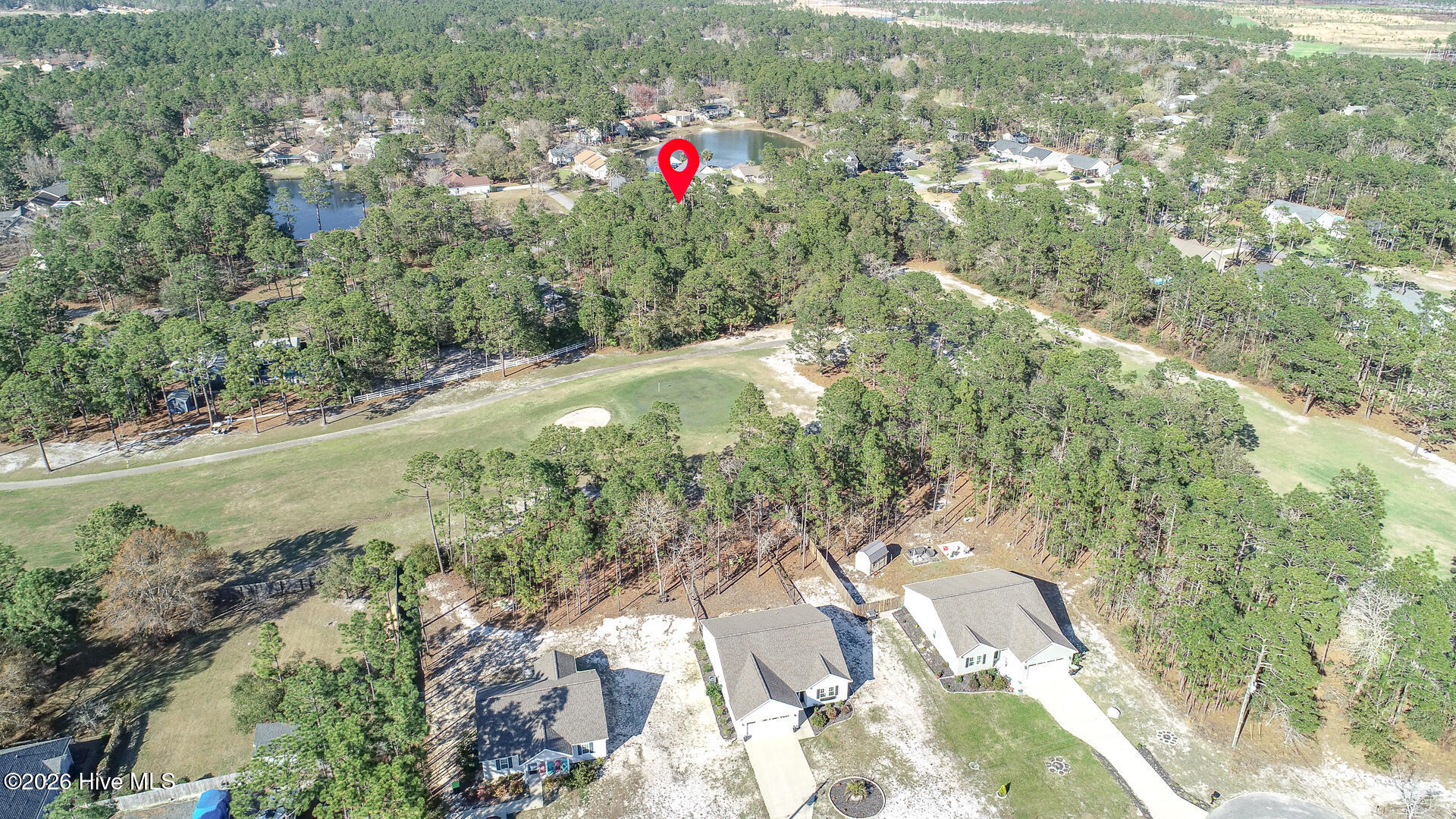 1156 Twin Lakes Drive Boiling Spring Lakes, NC 28461 - Photo 3 of 5 Aerial photos-2