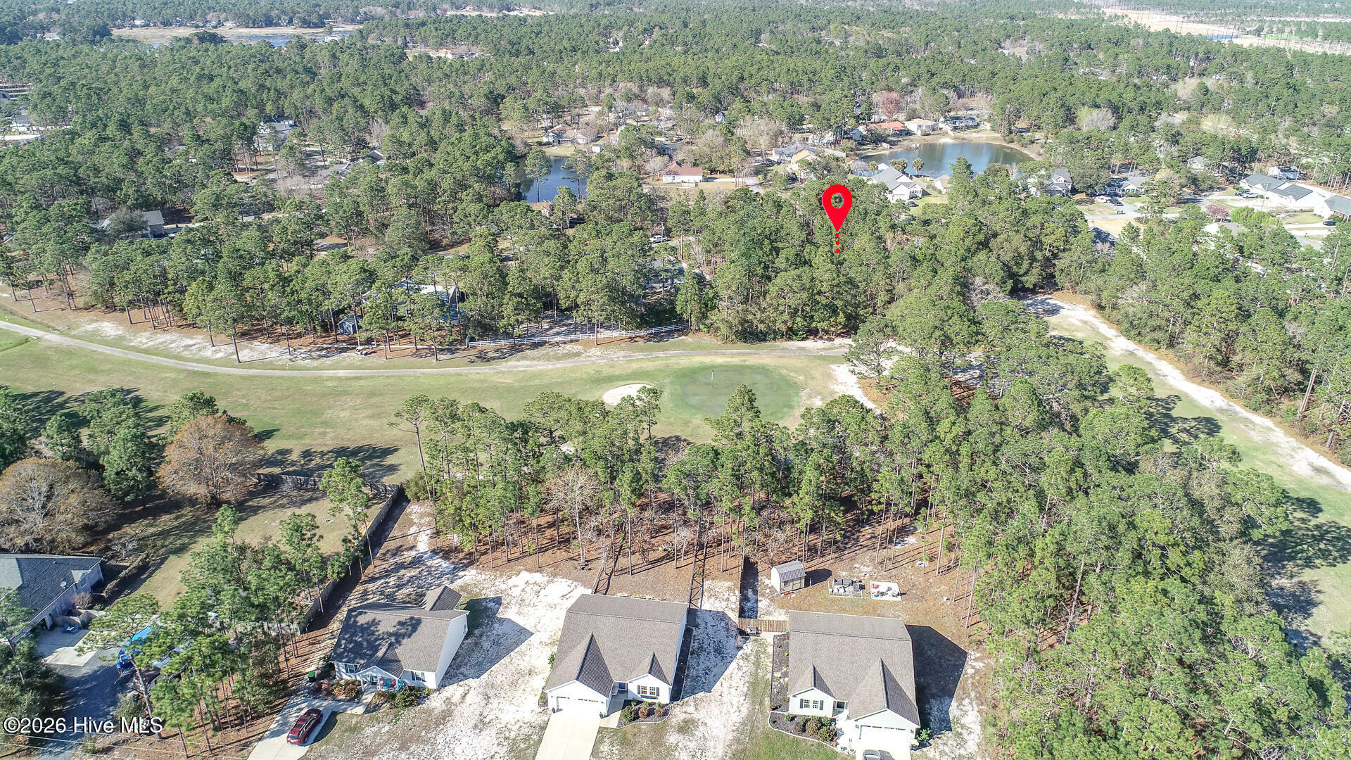 1156 Twin Lakes Drive Boiling Spring Lakes, NC 28461 - Photo 4 of 5 Aerial photos-3