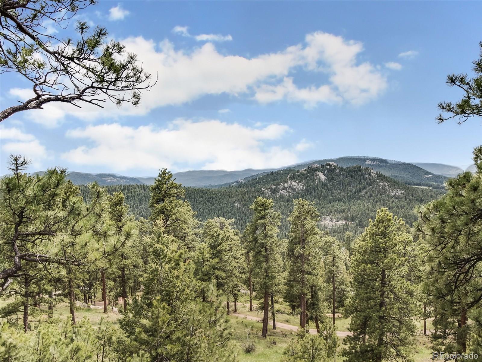 31022 Troutdale Ridge Road Evergreen, CO 80439 - Photo 32 of 35 Gallery Image 32