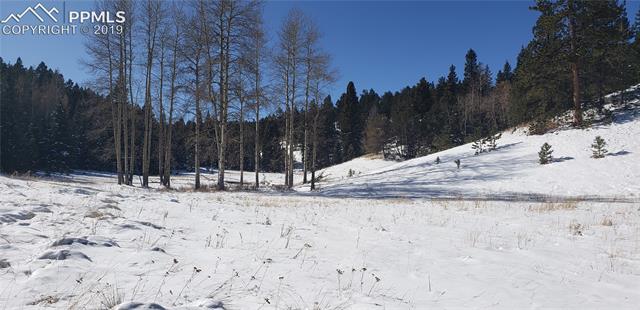 2700 Elk Ridge North Divide, CO 80814 - Photo 16 of 23 stream flows to the right of the small grove. Elk are there daily during the non-winter months.