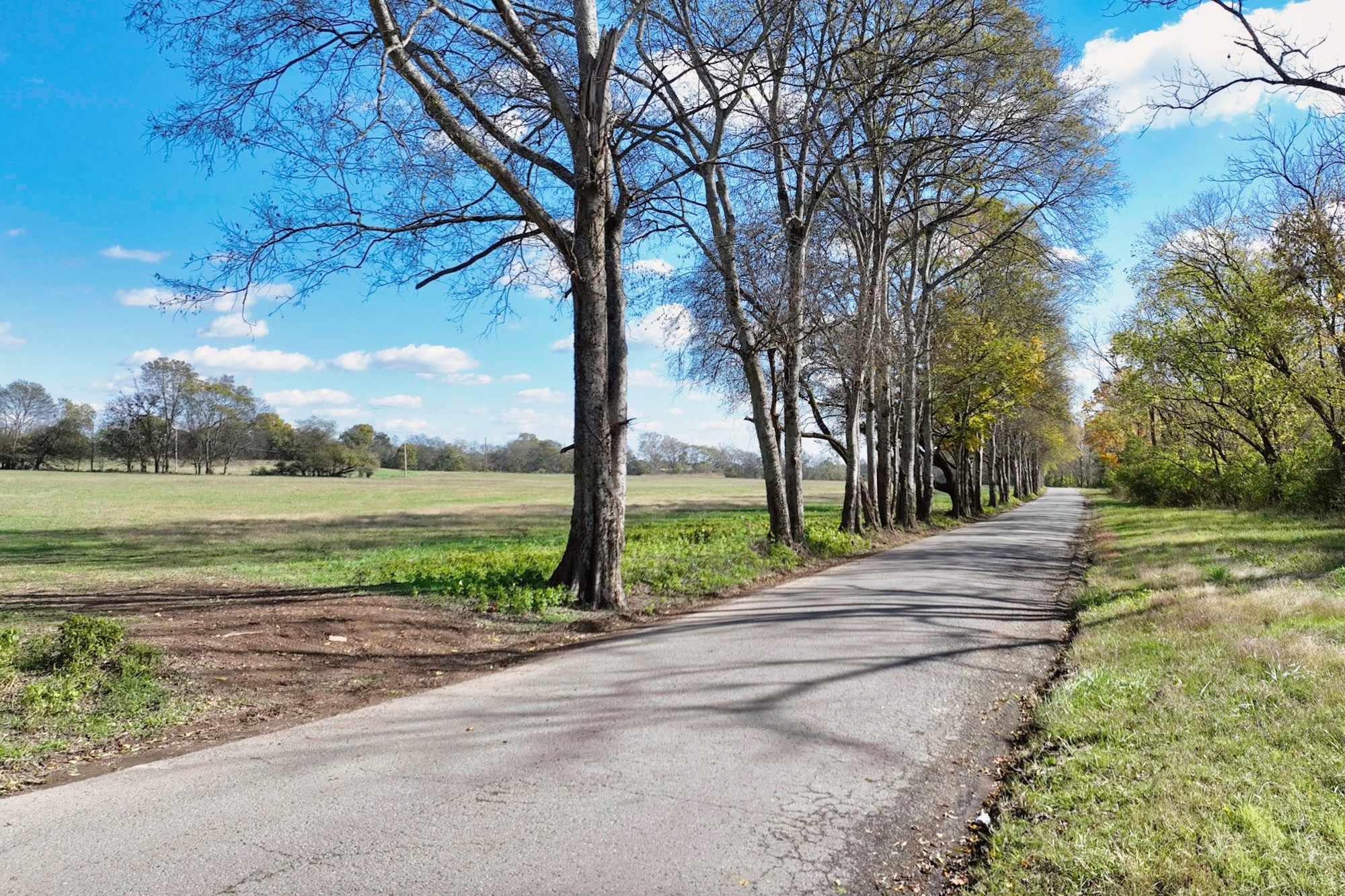 5 Deshea Creek Road Gallatin, TN 37066 - Photo 8 of 10 a view of a park and trees in the background