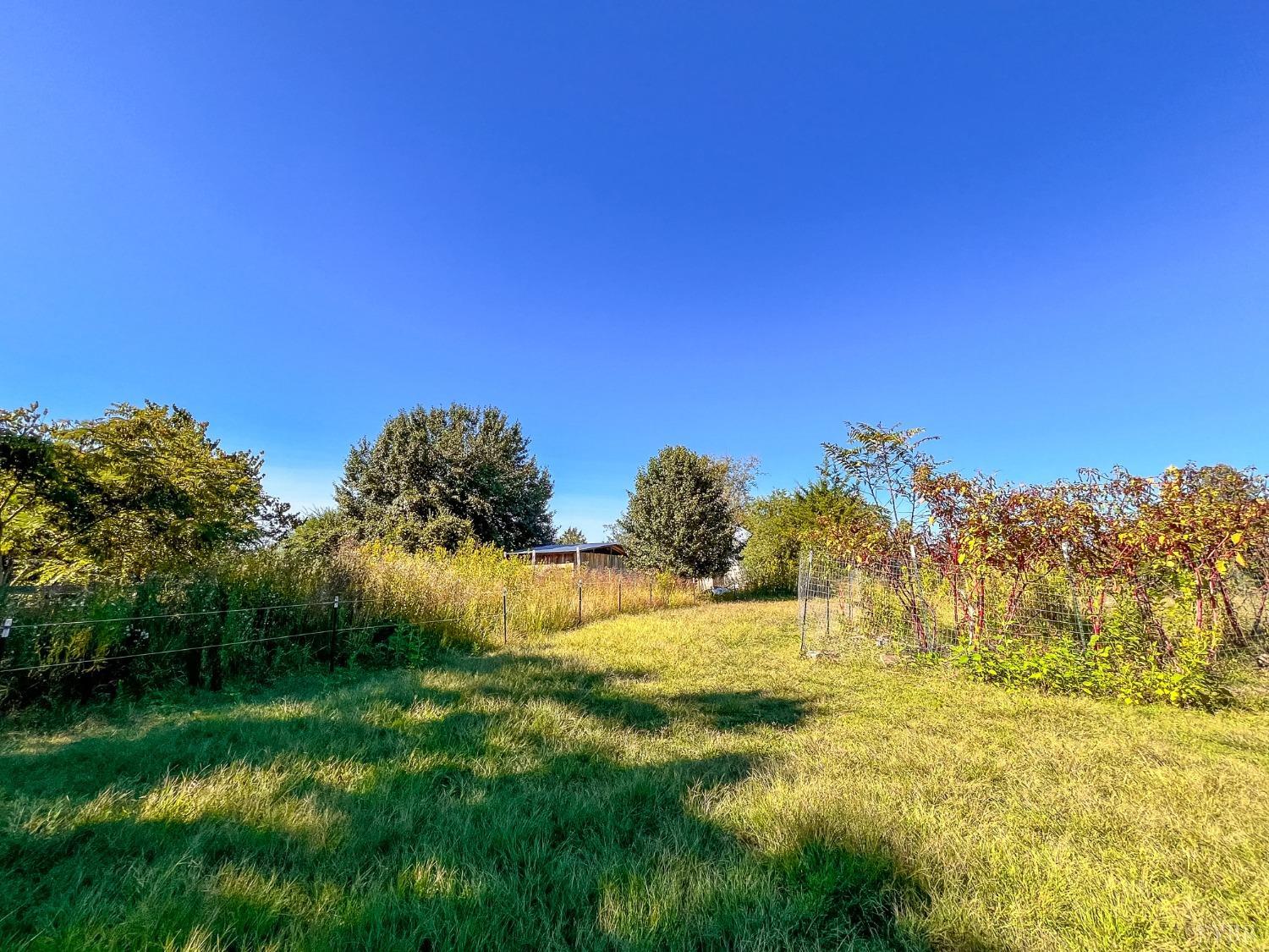627 Waugh's Ferry Road Amherst, VA 24521 - Photo 50 of 58 Gallery Image 50