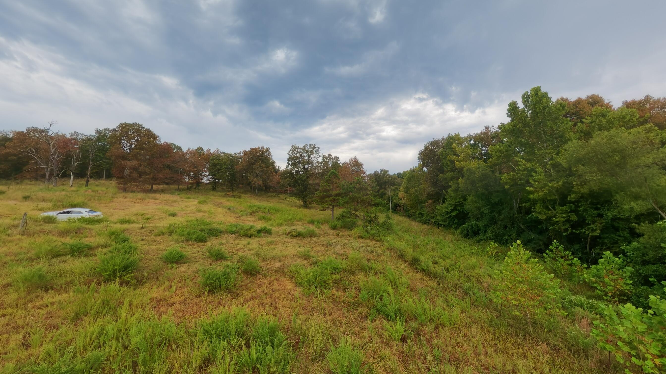 517 Sawmill Road Brockwell, AR 72517 - Photo 49 of 54 40 acres047