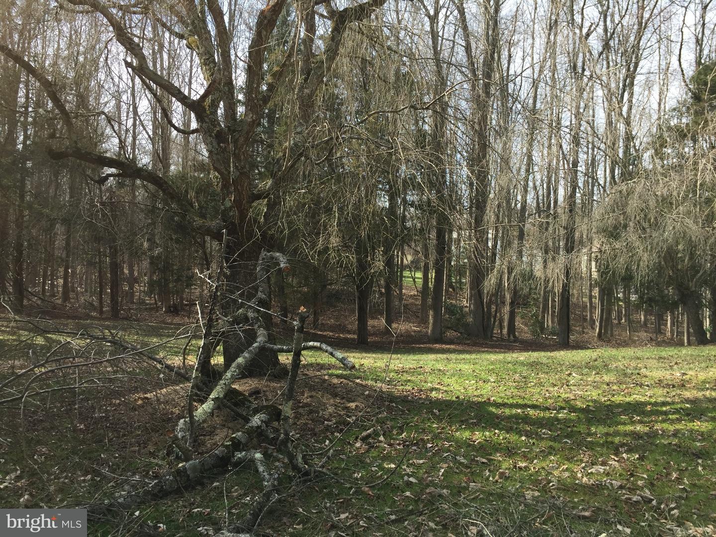 290 Little Mill Road Pine Hill, NJ 08021 - Photo 19 of 23 Gallery Image 19