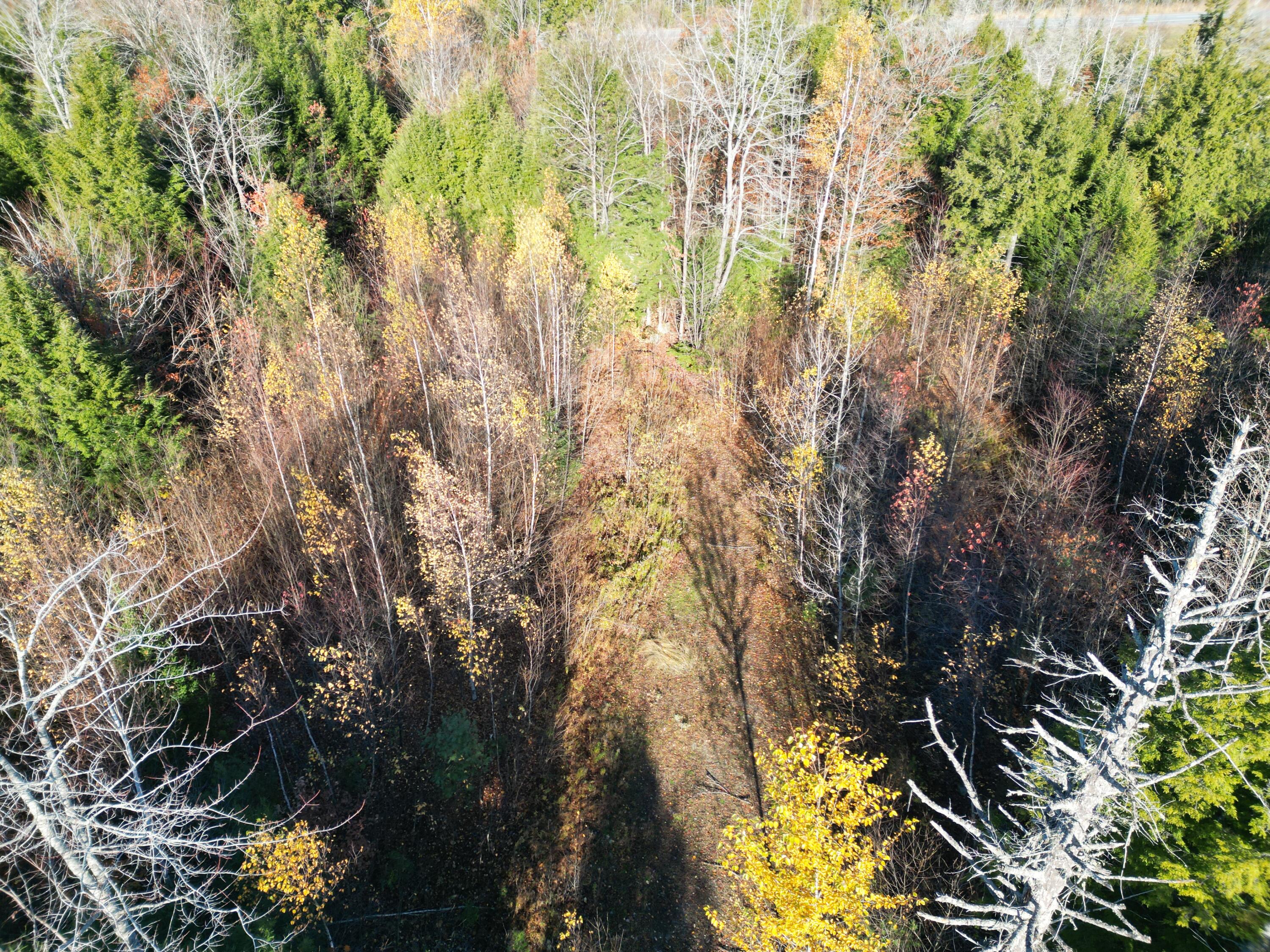 Lot 18-1 Mattamiscontis Road Howland, ME 04448 - Photo 11 of 16 DJI_0074