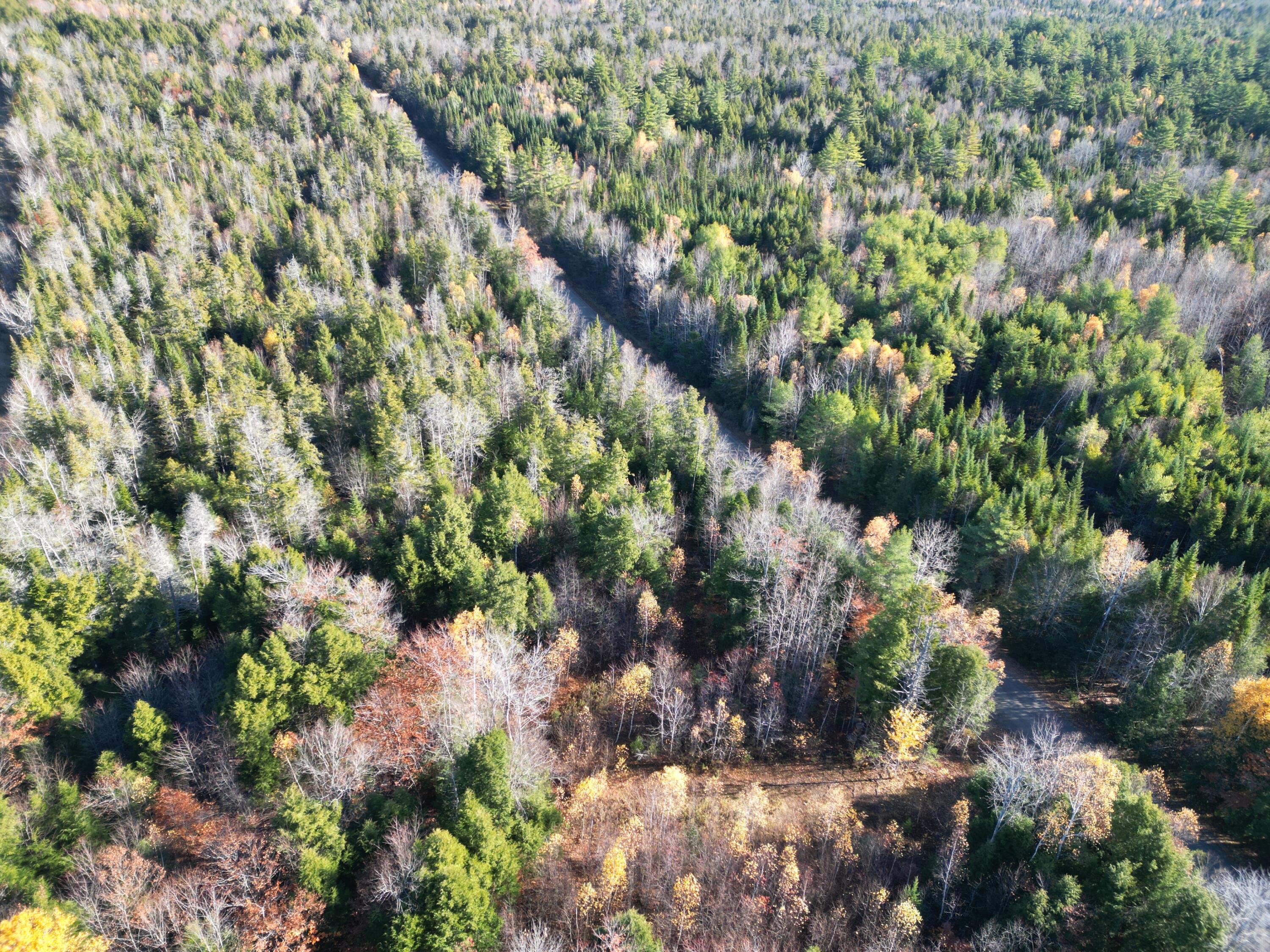 Lot 18-1 Mattamiscontis Road Howland, ME 04448 - Photo 12 of 16 DJI_0075