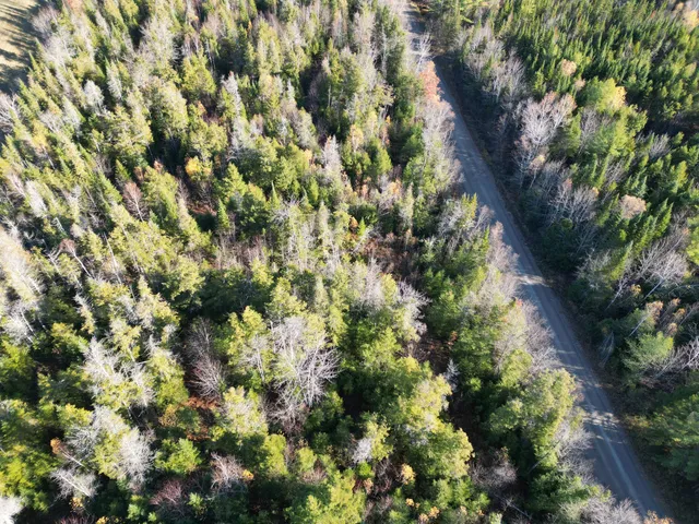 $33,000 | Lot 18-1 Mattamiscontis Road, Howland, ME 04448