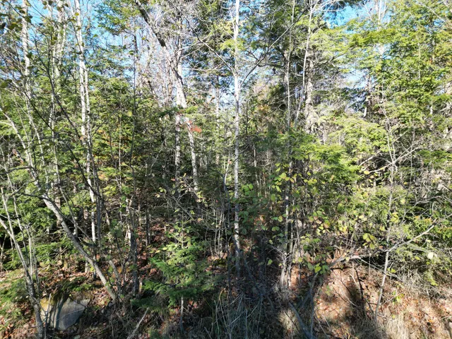 $33,000 | Lot 18-1 Mattamiscontis Road, Howland, ME 04448