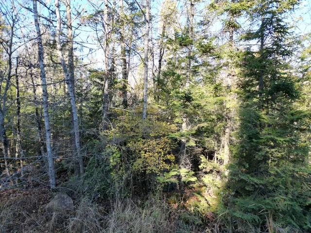 $33,000 | Lot 18-1 Mattamiscontis Road, Howland, ME 04448