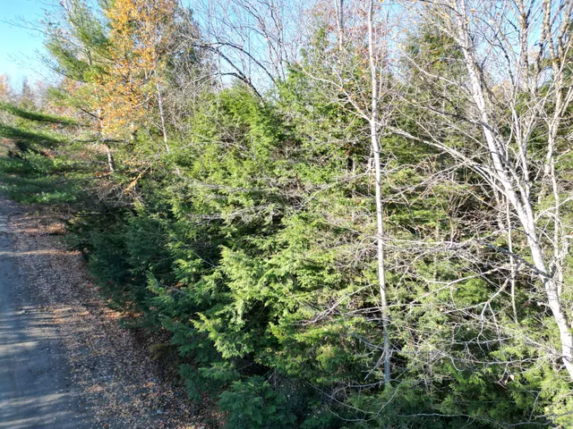 $33,000 | Lot 18-1 Mattamiscontis Road, Howland, ME 04448