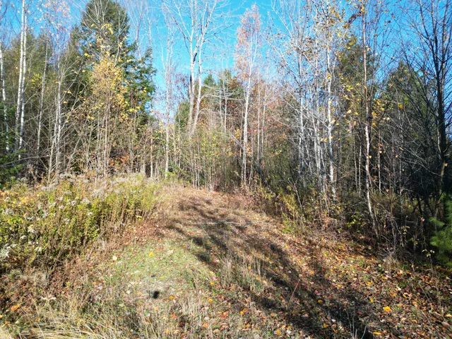 $33,000 | Lot 18-1 Mattamiscontis Road, Howland, ME 04448