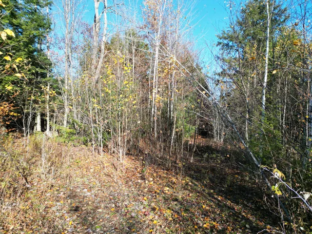 $33,000 | Lot 18-1 Mattamiscontis Road, Howland, ME 04448