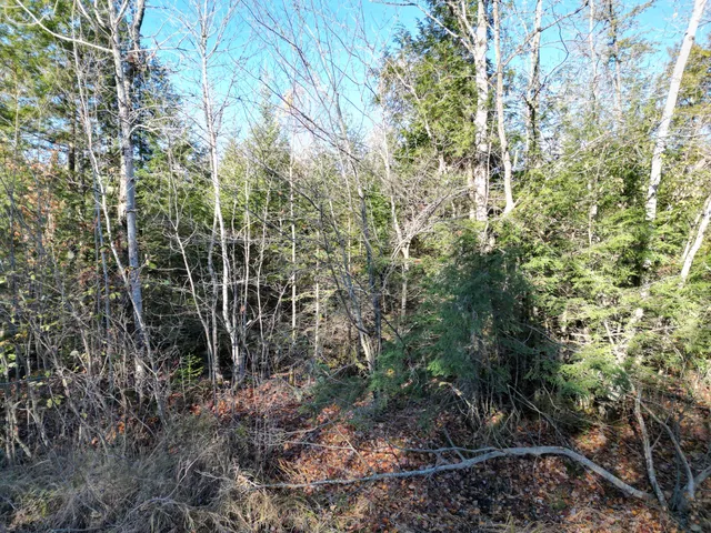 $33,000 | Lot 18-1 Mattamiscontis Road, Howland, ME 04448