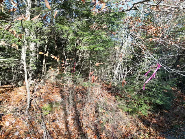 $33,000 | Lot 18-1 Mattamiscontis Road, Howland, ME 04448
