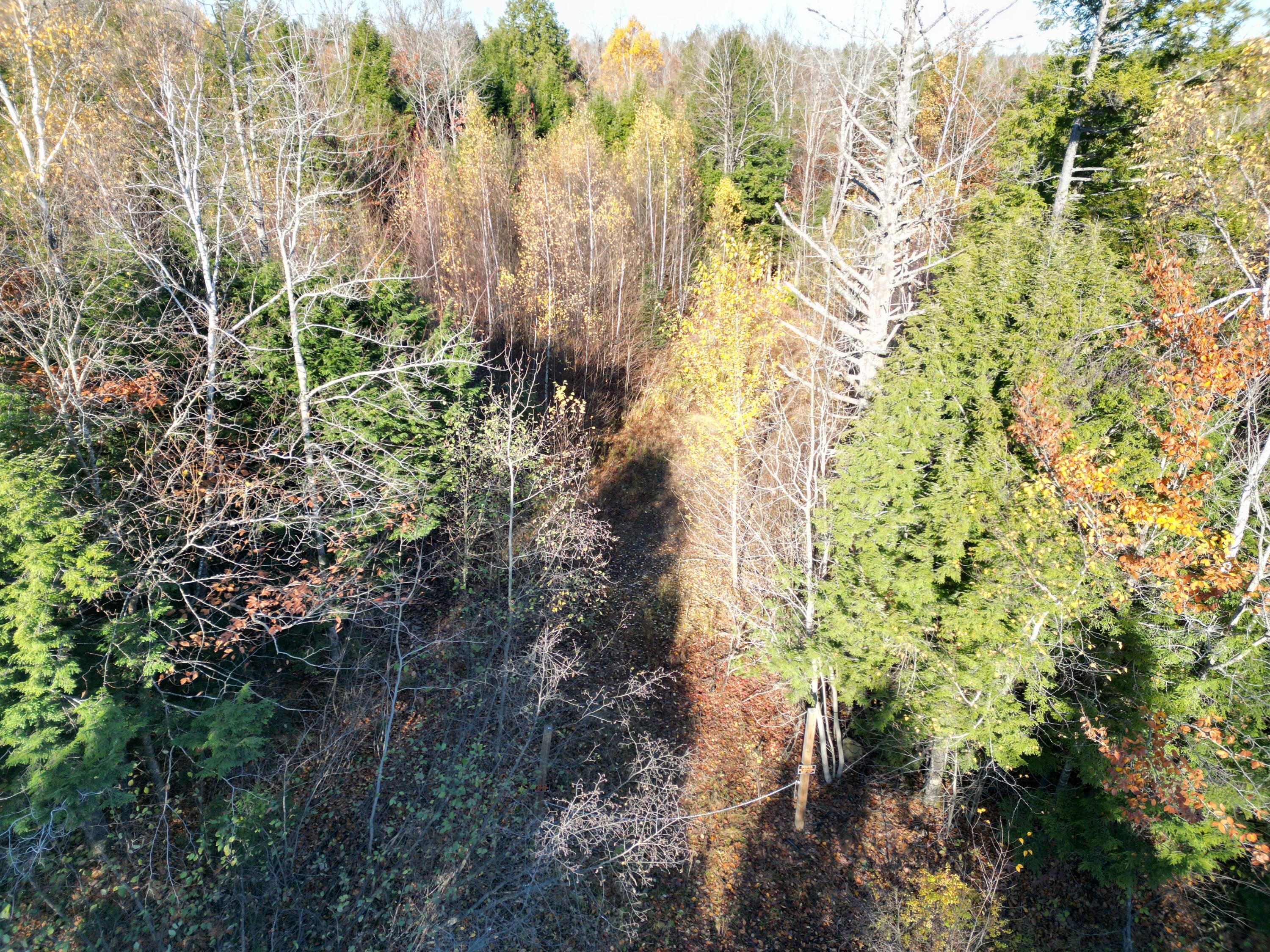 Lot 18-1 Mattamiscontis Road Howland, ME 04448 - Photo 10 of 16 DJI_0073
